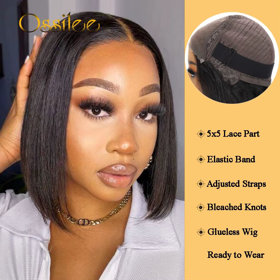 5X5 HD Lace Closure Wig Straight Bob Wig Lace Front Human Hair Wigs Pre Cut Lace Wig Short Human Hair Wig Ready to Wear